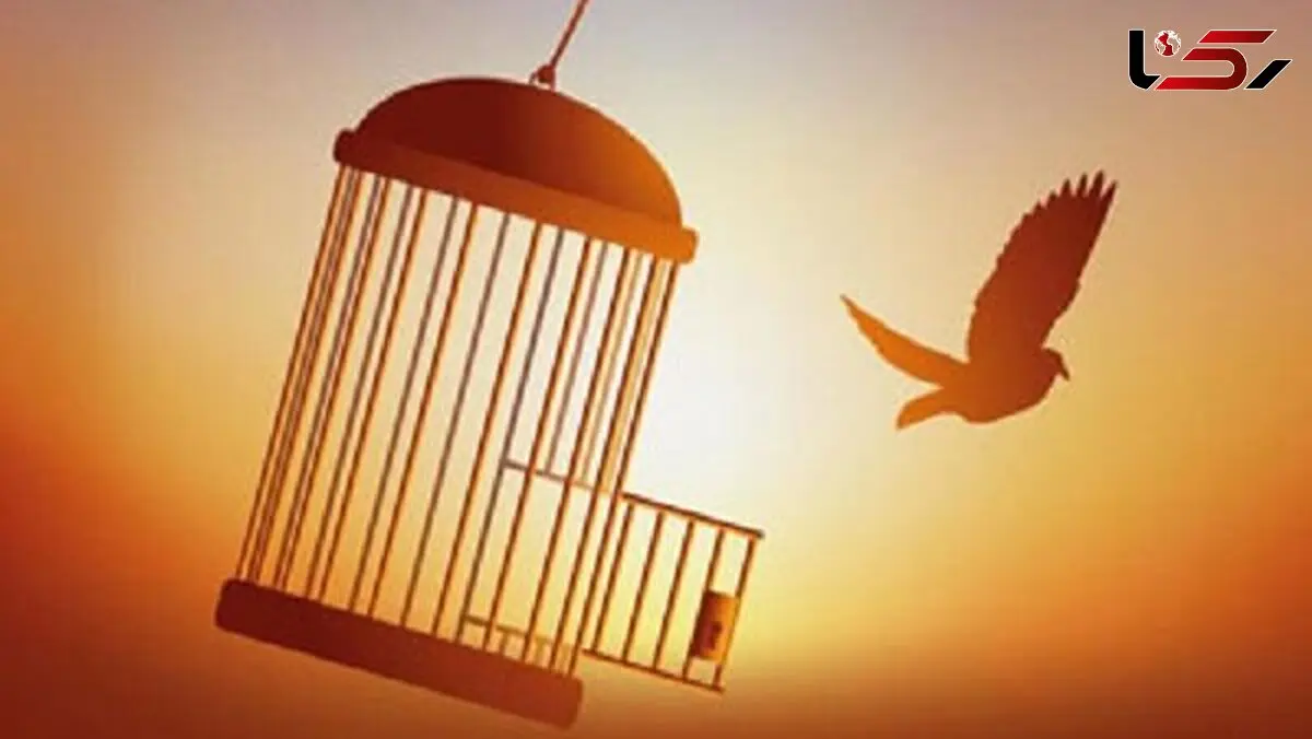 اقدام زیبای زن ایرانی خارج نشین در تهران