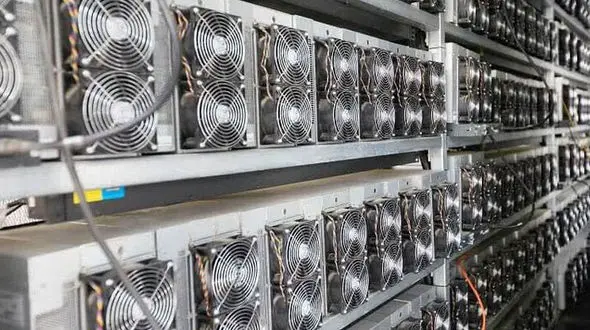 حاجی‌ دلیگانی: ایران به بهشت ماینرها تبدیل شده است