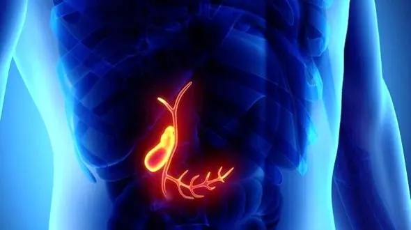 فیلم / آشنایی با شایع‌ ترین بیماری‌های کیسه صفرا؛ اطلاعات ضروری برای سلامتی شما