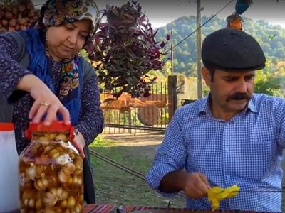لذت درست کردن سیرترشی و جوجه کباب در قلب روستا / فیلم