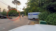 فیلم زمین خوردن هولناک دوچرخه سواران در برخورد با سیم بوکسل وسط خیابان / شوکه می شوید