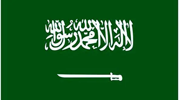 بن سلمان غیرتی شد! / روباهی که نعره می کشد!