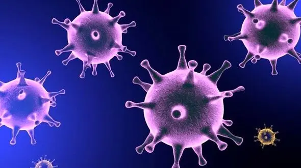 کرونا به سیستان و بلوچستان رسید / 3 نفر مبتلا شدند