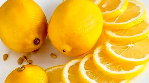 لیموترش موثرتر از شیمی درمانی + اینفوگرافی