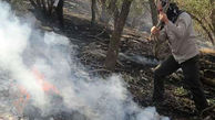 20میلیارد ریال آتش سوزی به منابع طبیعی کهگیلویه وبویراحمد خسارت زد