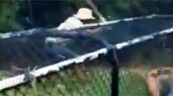 نبرد کروکودیل خشمگین و مربی‌اش در استرالیا + فیلم و عکس