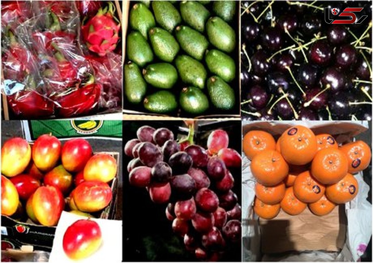 کشف ۱۵۰۰ تن میوه قاچاق