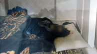 نجات قاتل هم اتاقی از قصاص پس از 16 سال / به مناسبت عید نیمه شعبان صورت گرفت + تصاویر