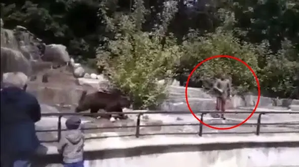 اقدام احمقانه گردشگر در باغ وحش! / خرس او را رها نکرد + فیلم و عکس