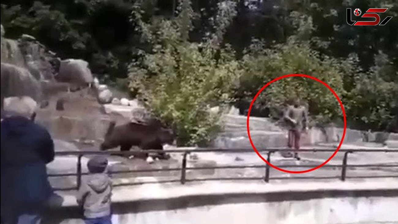 اقدام احمقانه گردشگر در باغ وحش! / خرس او را رها نکرد + فیلم و عکس