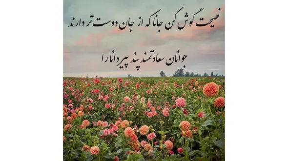 فال حافظ امروز / 20 تیر با تفسیر دقیق + فیلم