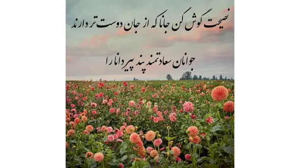 فال حافظ امروز / 20 تیر با تفسیر دقیق + فیلم