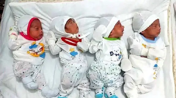 مادر تبریزی چهار قلو به دنیا آورد