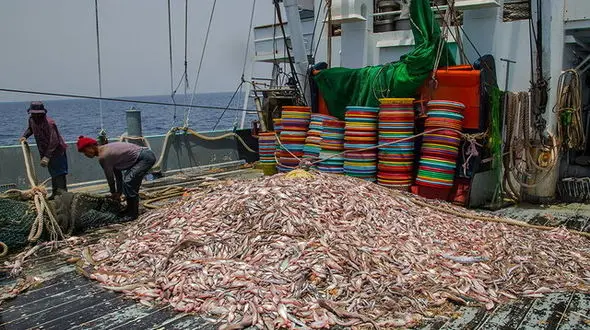 فاجعه در خلیج فارس / گزارشی تکاندهنده + جزییات