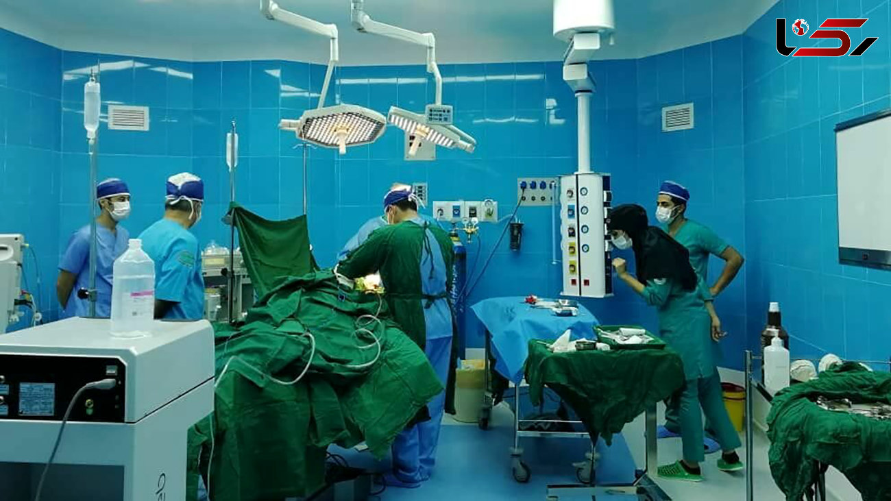 اهدای عضو ۹ بیمار در بوشهر، جان ۳۰ نفر را نجات داد