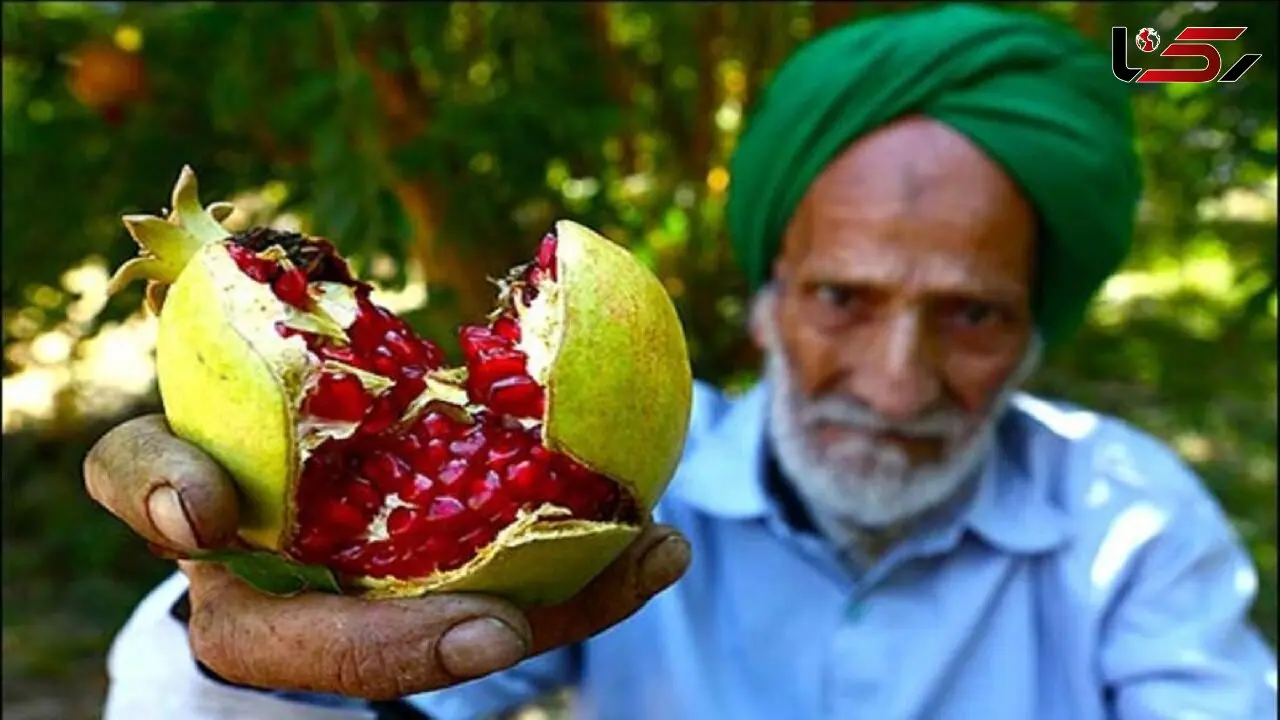 باغ شهر تفت میزبان چهارمین جشنواره انار 