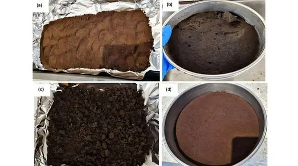 تفاله قهوه؛ زباله‌ای نجات دهنده / کشف جدید دانشمندان