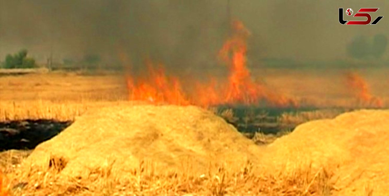 آتش‌سوزی انبار علوفه در روستای محمدیه مهار شد