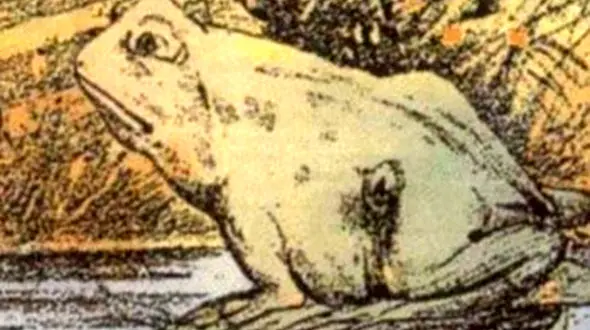 تست :  می توانید اسب پنهان شده در تصویر قورباغه را ببینید؟