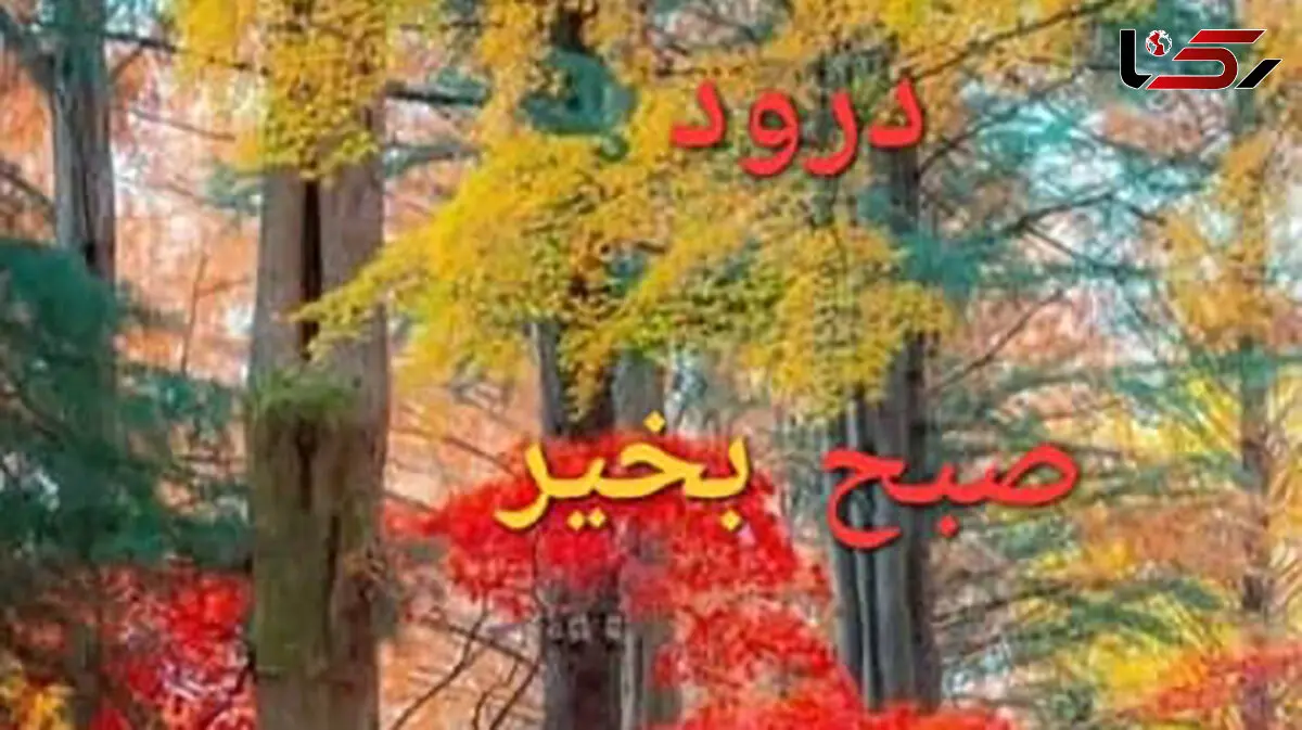 فال روزانه 25 بهمن ماه + فیلم 