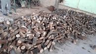 کشف بزرگترین کارگاه غیر مجاز زغال چوب بلوط در کهگیلویه و بویراحمد