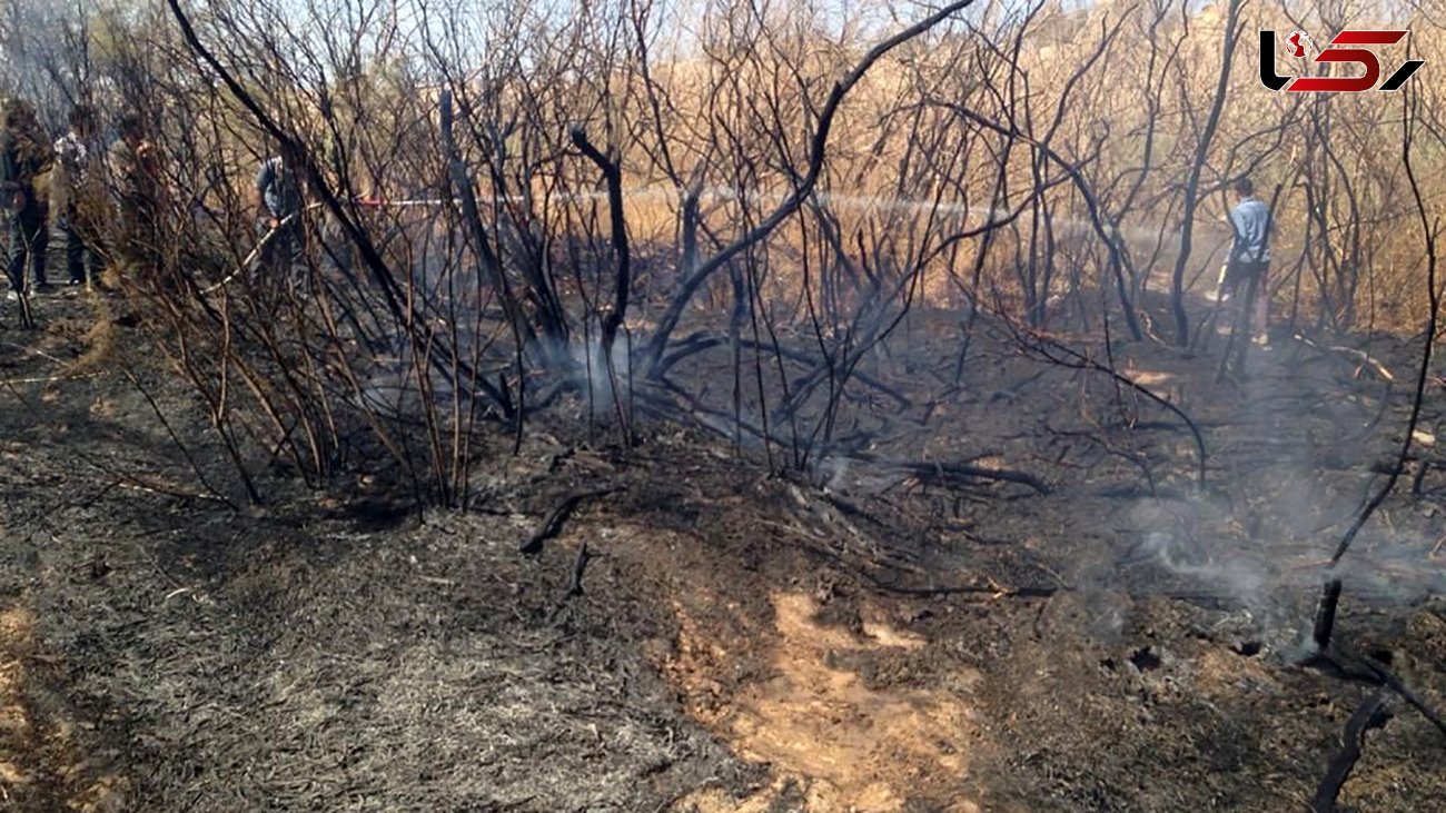 5 هزار هکتار از مراتع «سیبک» فریدونشهر در آتش سوخت