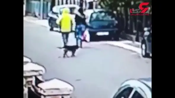 دفاع سگ ولگرد از یک زن در برابر حمله دزد + فیلم