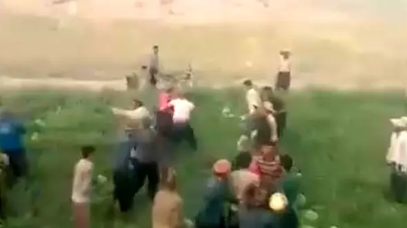 2 قبیله با هندوانه به جان هم افتادند! + فیلم دیدنی