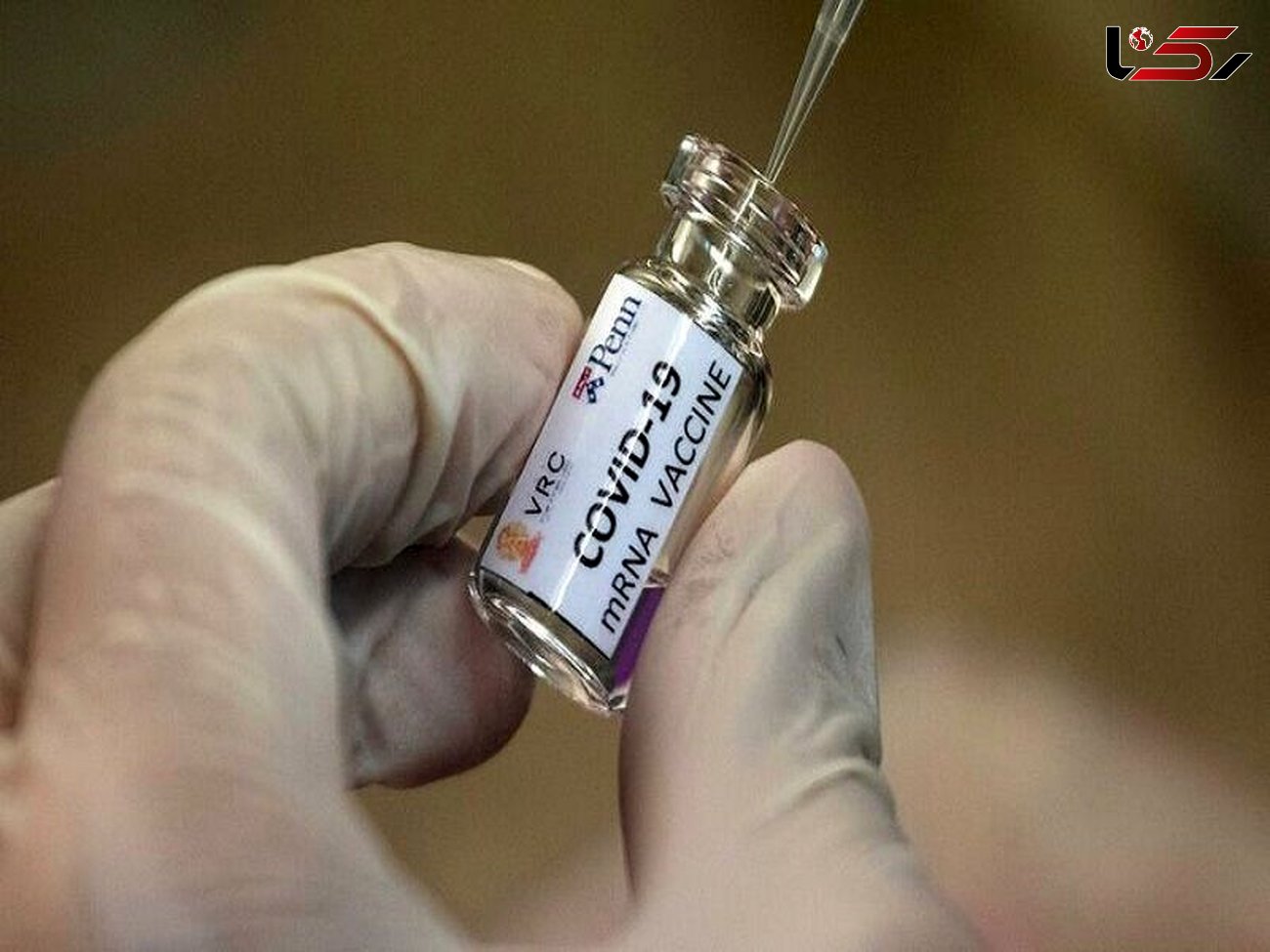 ساینس‌دیلی: واکسن جدید کرونا نتایج امیدوارکننده داشته است