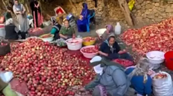سفر به روستای هورامان: ترکیب عطر انار و آواز دف / فیلم