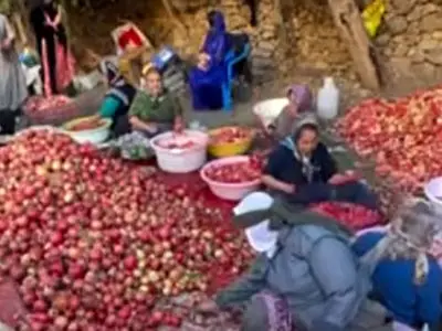 سفر به روستای هورامان: ترکیب عطر انار و آواز دف / فیلم