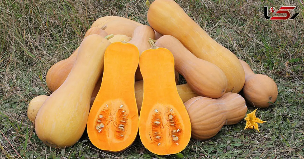 شب یلدا دسر کدو حلوایی بخورید+دستور تهیه