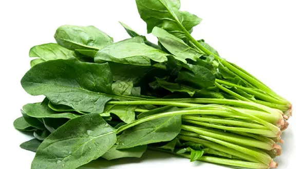 اسفناج بهترین کاهنده قند خون