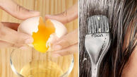 تاثیر فوق العاده اجزای تخم مرغ بر سلامت مو 