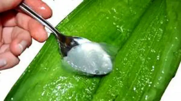 روش ساخت لوسیون آلوئه ورا در منزل