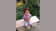 زهرا کوچولو را ربوده اند / پدر دختربچه بعد از 2 ماه قاطعانه ادعا کرد ! + فیلم