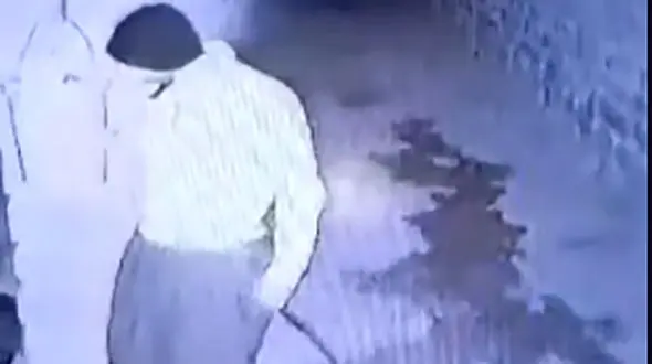 ناکام ماندن سارقان احشام در ایوان