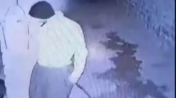 ناکام ماندن سارقان احشام در ایوان