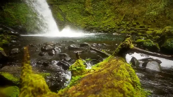 نماهنگ بی کلام و آرامش بخش از مارتین چرنی + فیلم