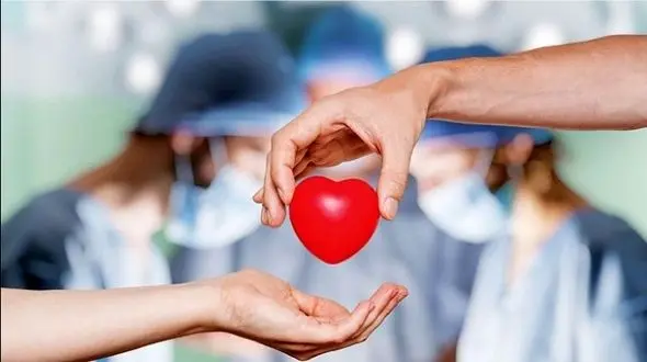 احمد علیپور در یاسوج فرشته نجات شد/نهمین اهدای عضو در سال جاری در کهگیلویه و بویراحمد 