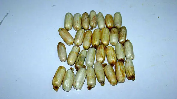 قاچاقچی 360 گرم هروئین را قورت داد + عکس