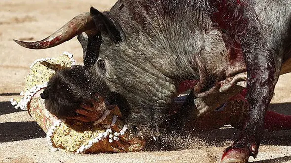 مرگ دردناک مرد اسپانیایی در فستیوال گاوبازها+فیلم