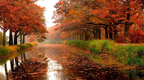 فال ابجد امروز / 15 آبان ماه + فیلم 