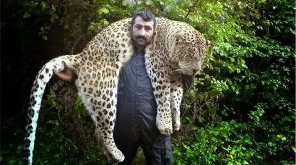 پلنگ مازندران روی دوش این مرد روستایی چه می‌کرد؟