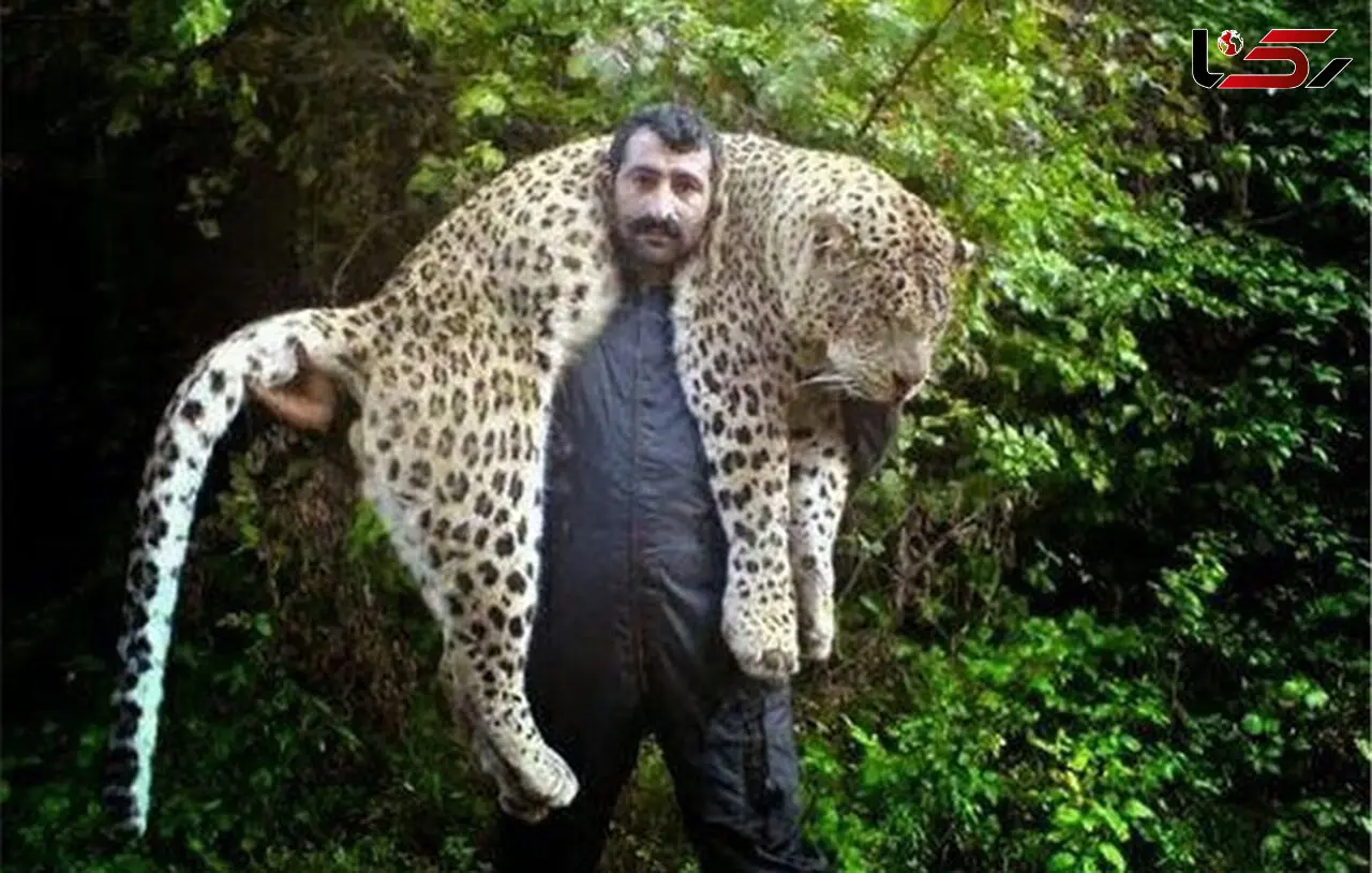 پلنگ مازندران روی دوش این مرد روستایی چه می‌کرد؟
