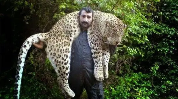 پلنگ مازندران روی دوش این مرد روستایی چه می‌کرد؟