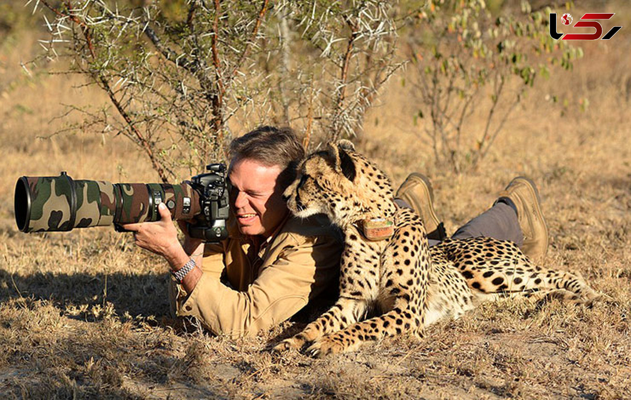 دوستی حیوانات با عکاسان دنیای وحش
