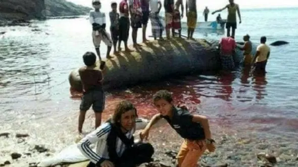 کشف گنج در معده یک نهنگ مرده !+ عکس 