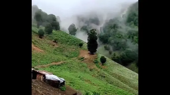 معرفی ییلاقات تالش + فیلم و عکس 