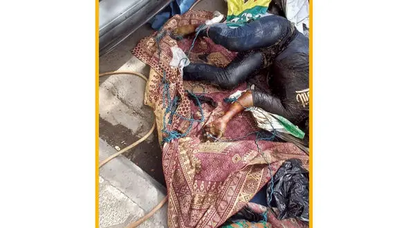 رد کرم‌های سفید به جسد طناب‌پیچ شده رسید / معمای هولناک جنایی در خیابان توس مشهد